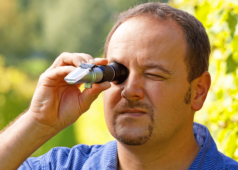 Boosting Pest Resistance with Brix